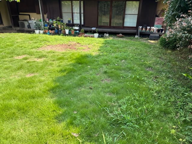 家の周りも雑草が伸び、たまに害虫が家の中に侵入してくる