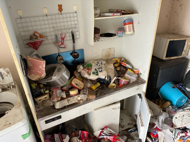 何年も料理や洗い物がされずに物置状態と化したゴミ屋敷のキッチン