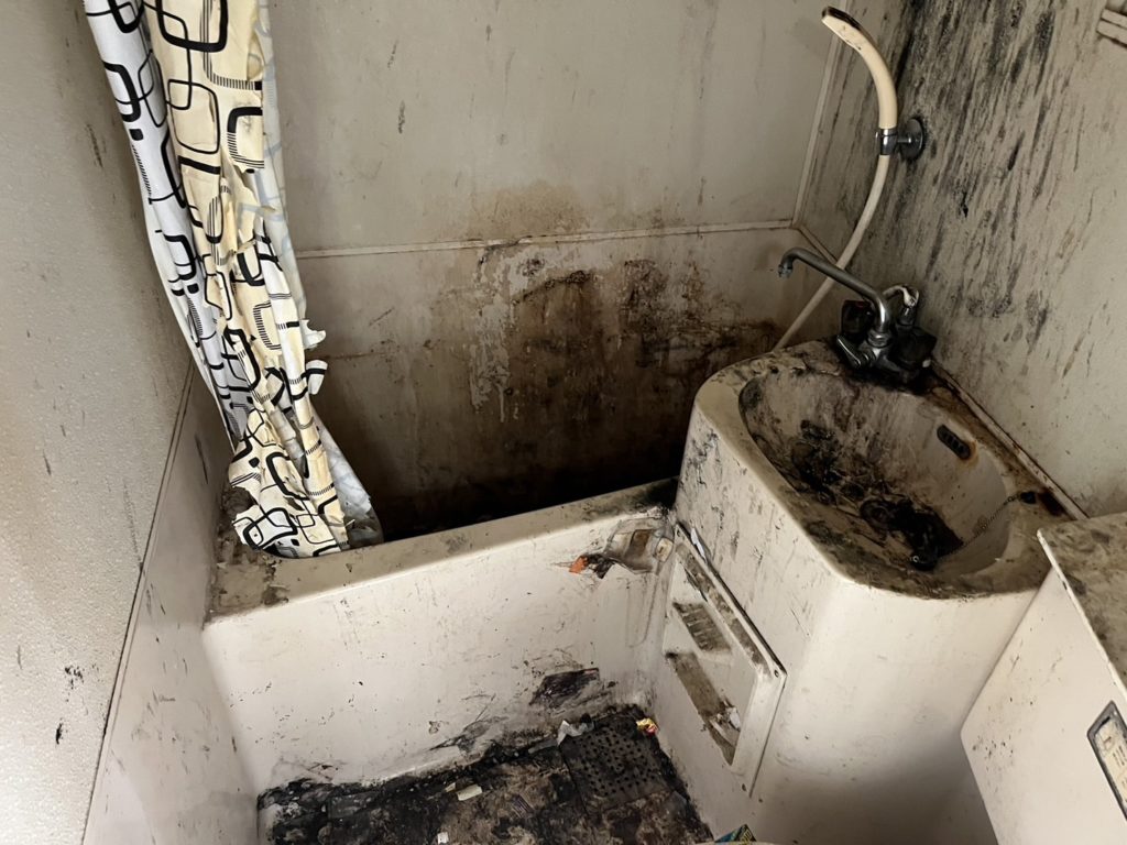 ゴミを回収し、隠れていた洗面台が顔を出しました