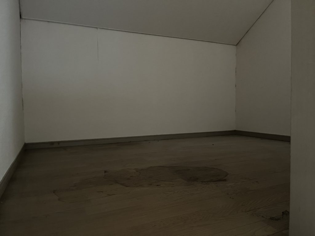 不用品や生ゴミを回収した後のロフト